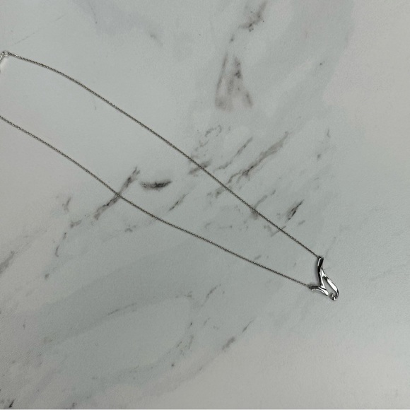 Tiffany & Co x Paloma Picasso Capricorn Necklace Pendant Combo - Picture 12 of 13